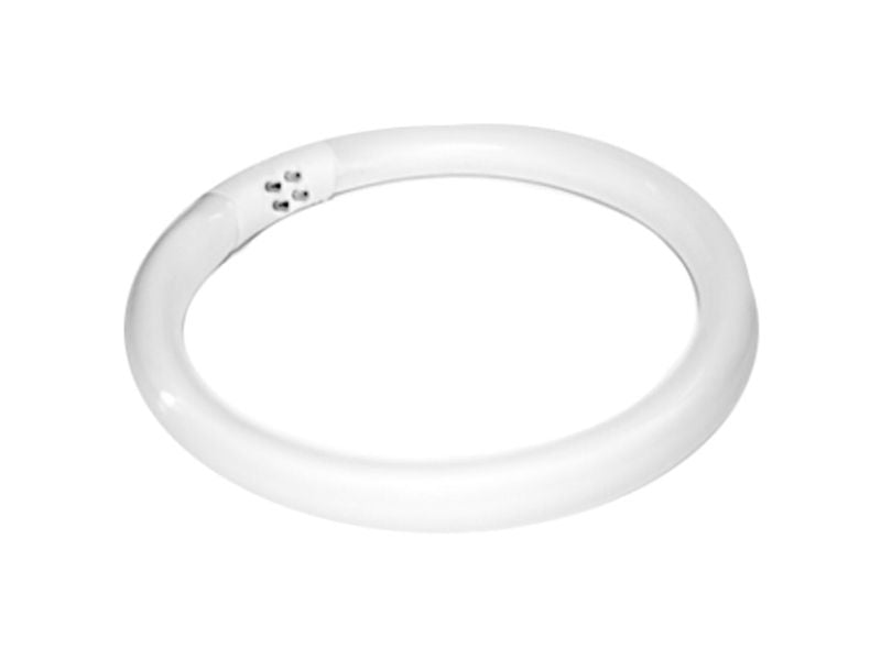 Ampoule de Rechange pour Lampe Loupe 22W S4