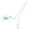 Lampe Loupe LED 5D avec Pince S5 Blanc