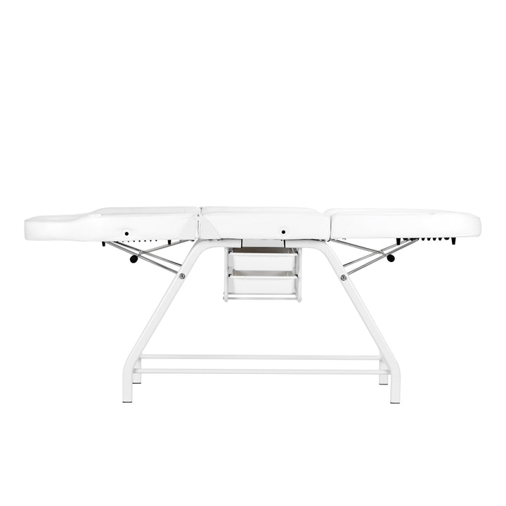 Fauteuil Esthétique 557A Blanc - image 8