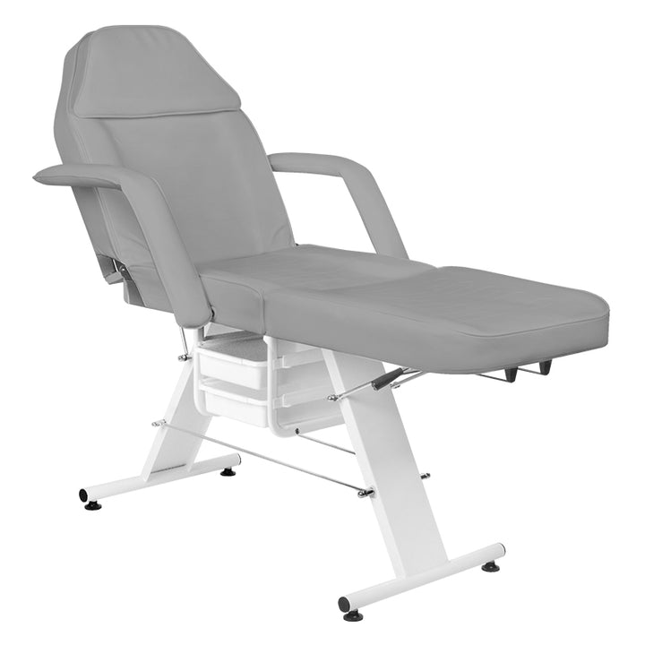 Fauteuil Esthétique Basic 202 avec Cuvettes Gris 3