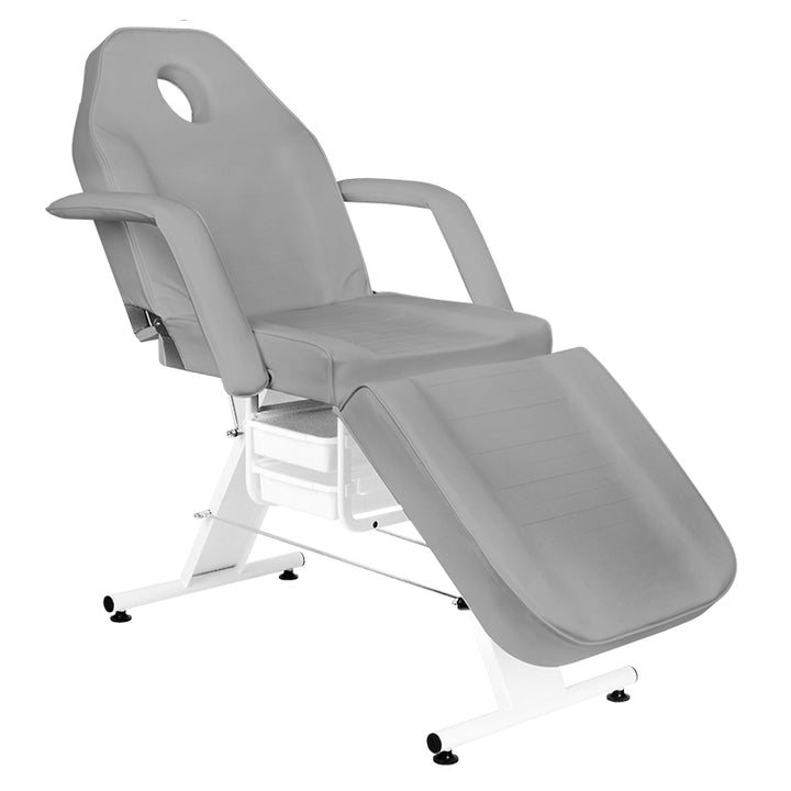 Fauteuil Esthétique Basic 202 avec Cuvettes Gris 4