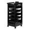 Chariot Coiffure Hair System 8-5