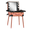 Mallette de Maquillage Station Mobile T-27 avec Miroir Lumineux Or Rose