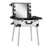Mallette de Maquillage Station Mobile T-27 avec Miroir Lumineux Argent