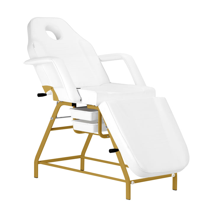 Fauteuil Esthétique 557G avec Cuvettes Or-Blanc - image 2