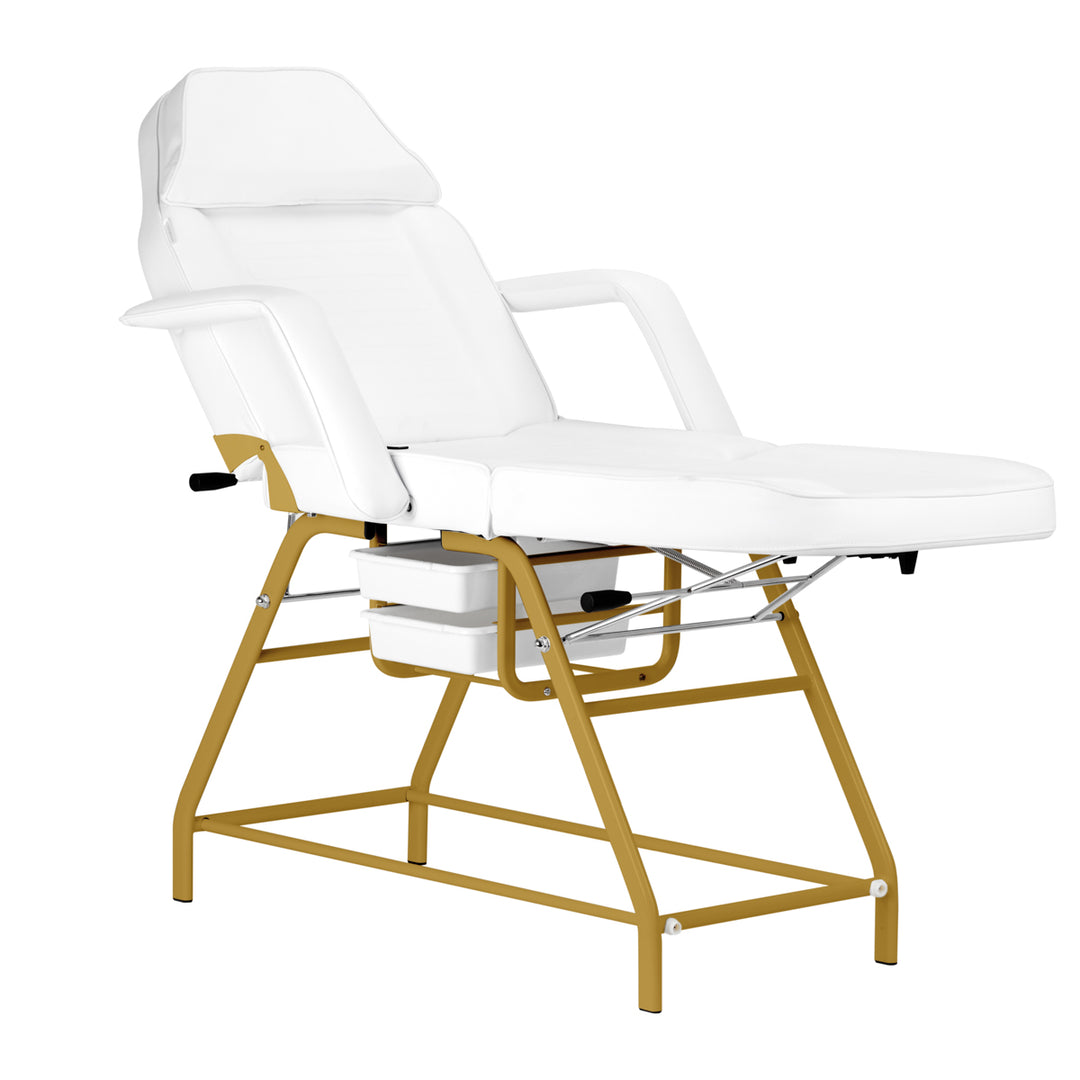 Fauteuil Esthétique 557G avec Cuvettes Or-Blanc - image 3