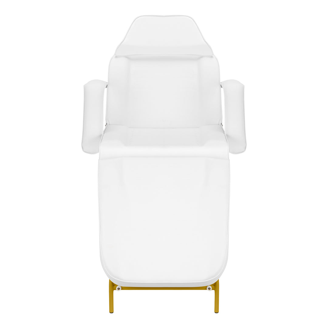 Fauteuil Esthétique 557G avec Cuvettes Or-Blanc - image 4