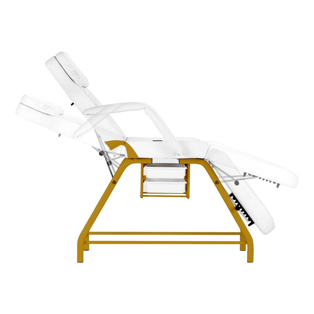 Fauteuil Esthétique 557G avec Cuvettes Or-Blanc - image 6