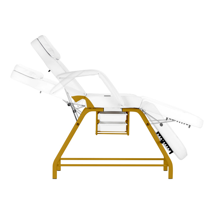 Fauteuil Esthétique 557G avec Cuvettes Or-Blanc - image 6