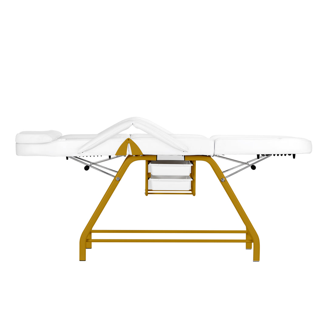 Fauteuil Esthétique 557G avec Cuvettes Or-Blanc - image 8