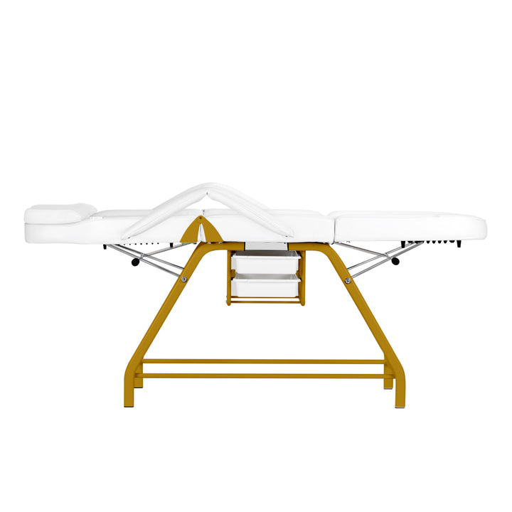 Fauteuil Esthétique 557G avec Cuvettes Or-Blanc - image 8