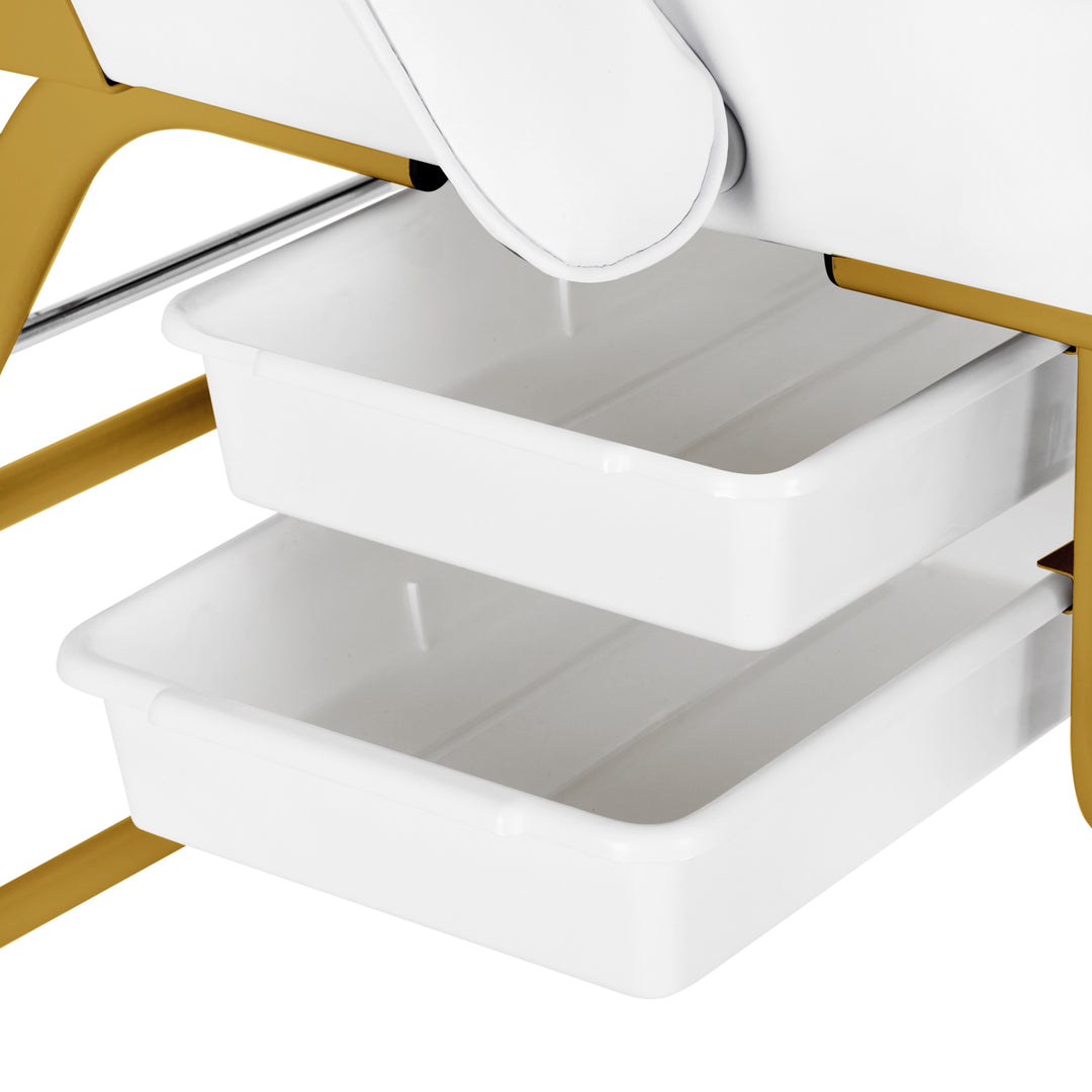 Fauteuil Esthétique 557G avec Cuvettes Or-Blanc - image 9