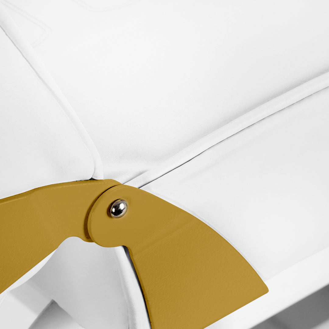 Fauteuil Esthétique 557G avec Cuvettes Or-Blanc - image 12