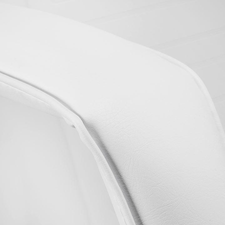 Fauteuil Esthétique 557G avec Cuvettes Or-Blanc - image 15