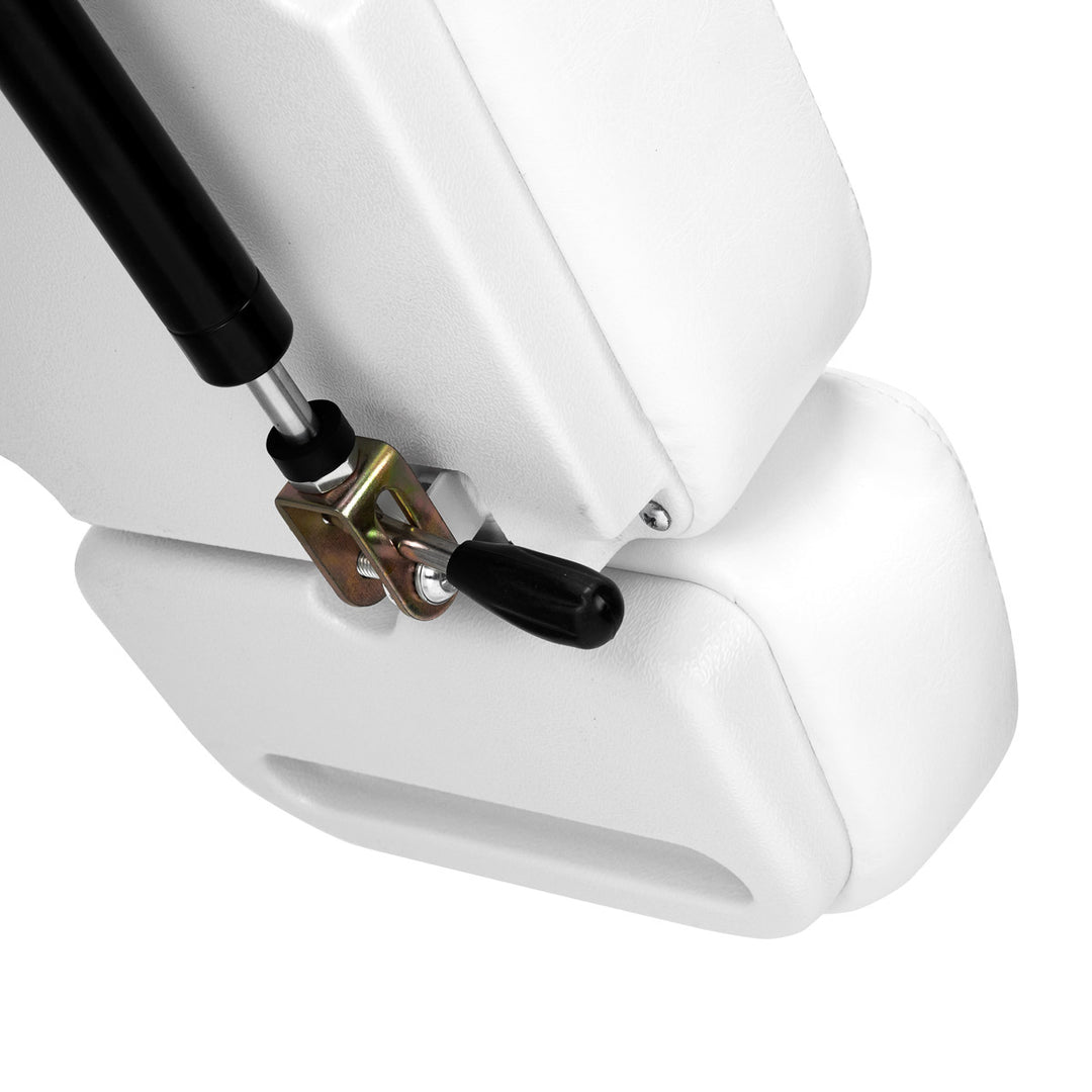 Fauteuil Esthétique Électrique Classic 2 Moteurs Pedi Blanc - image 10