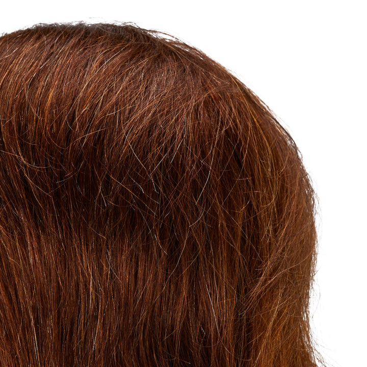 Tête à Coiffer Homme Gabbiano WZ3 Cheveux Naturels 20 cm Châtain - image 4