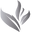 SalonPlus logo